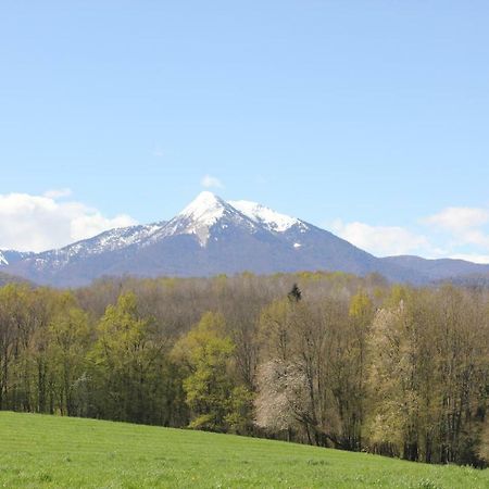 Maison Du Coue Pyrenees Mourtis Gite Pour 2 A 12 Pers Sengouagnet Exterior foto