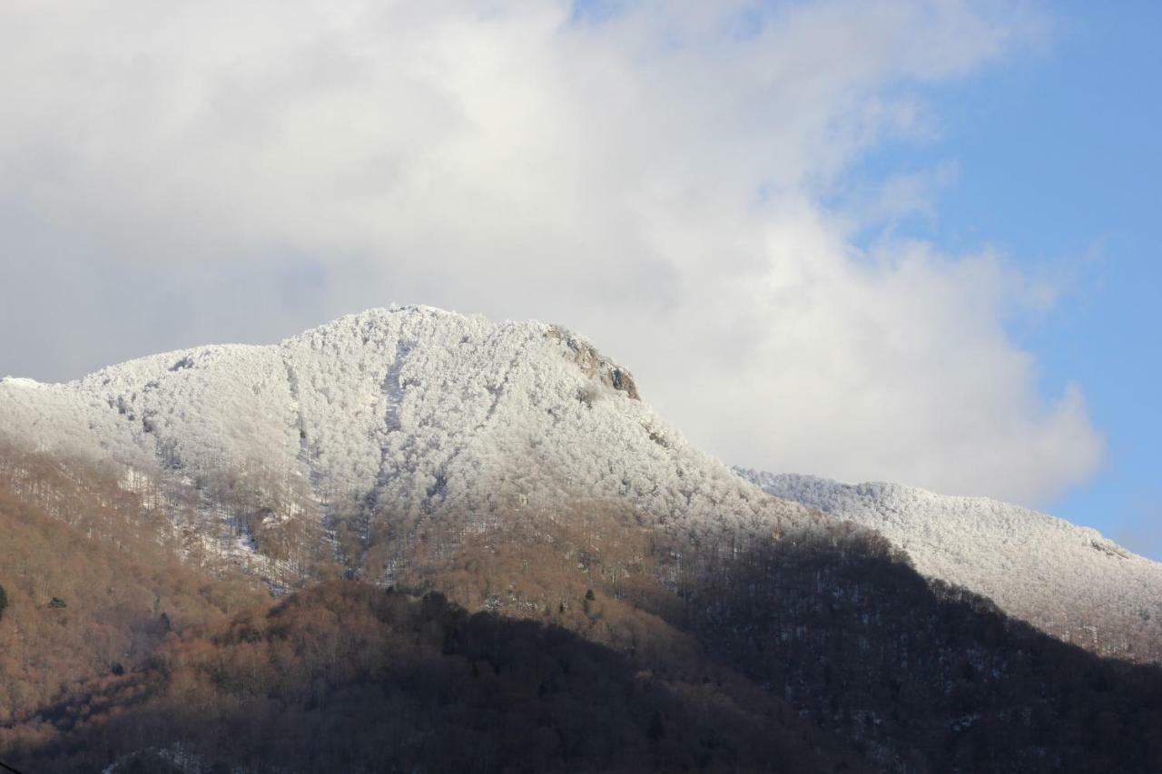 Maison Du Coue Pyrenees Mourtis Gite Pour 2 A 12 Pers Sengouagnet Exterior foto